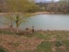 RIO ARAGON- COTO YESA